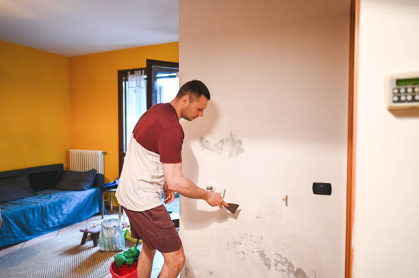 Best DIY Mold Remediation Support Services in Speedway, IN